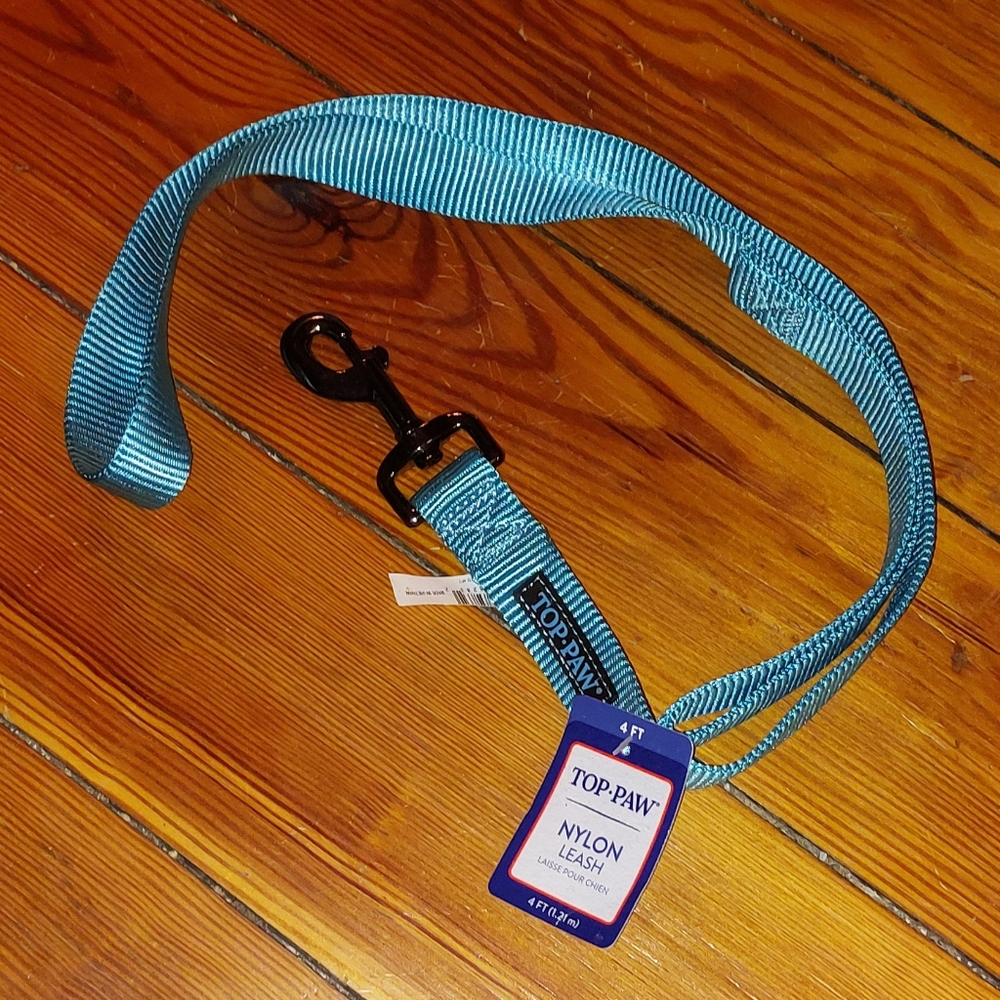 4ft Nylon Leash in Blue